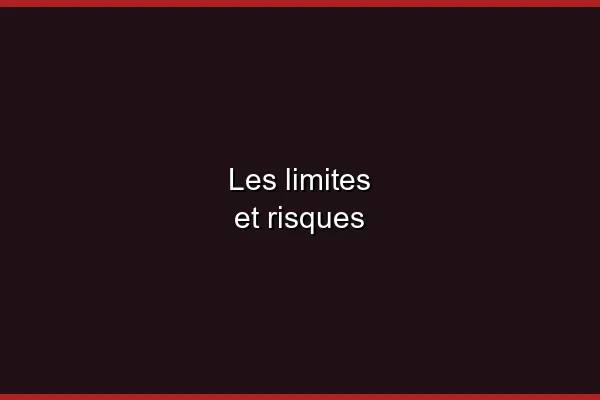 Les limites et risques