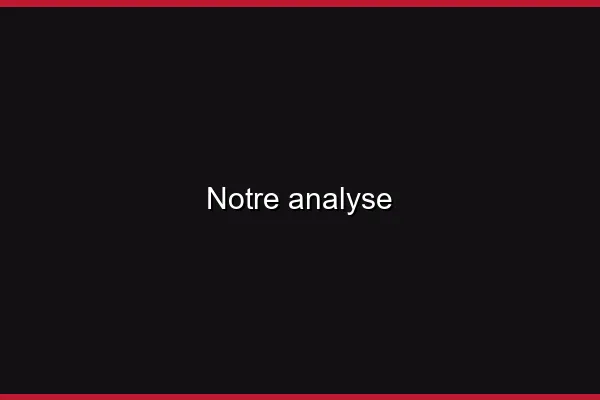 Notre analyse