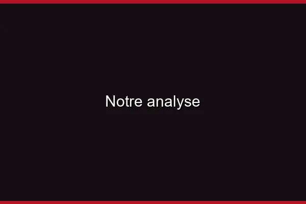 Notre analyse