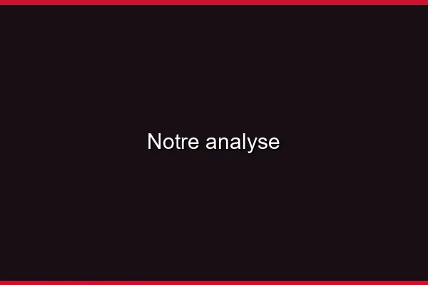 Notre analyse