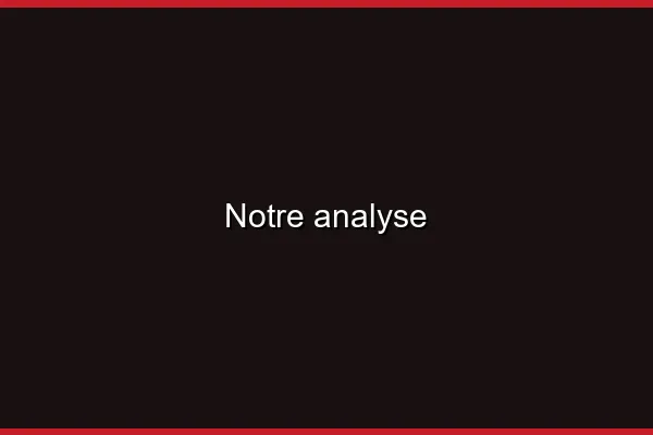 Notre analyse
